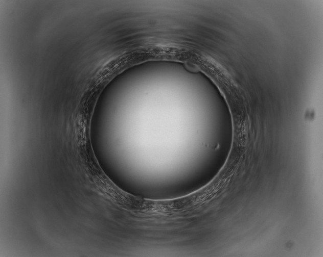 X0000100381013200806061213