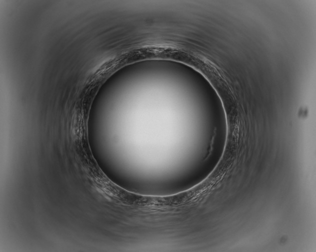 X0000100381014200806061213