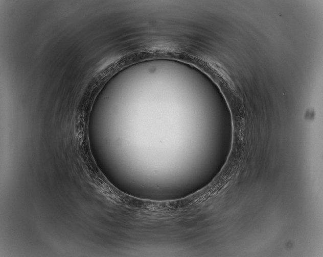 X0000100381015200806061213