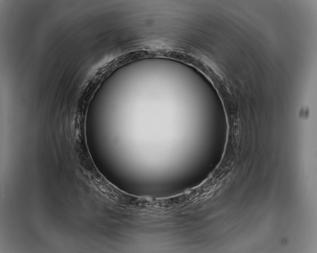 X0000100381016200806061213