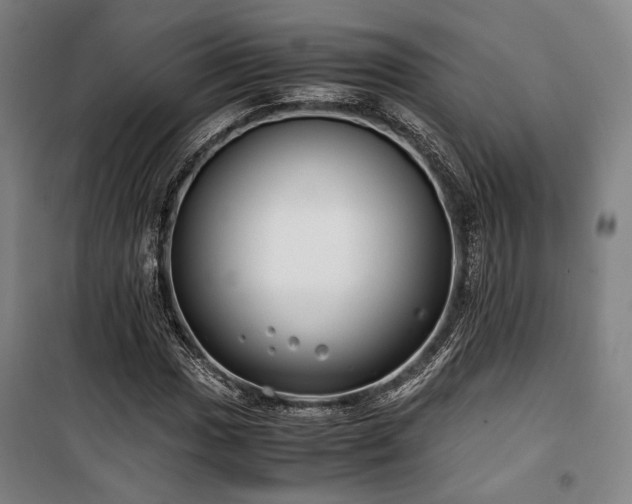 X0000100381017200806061213