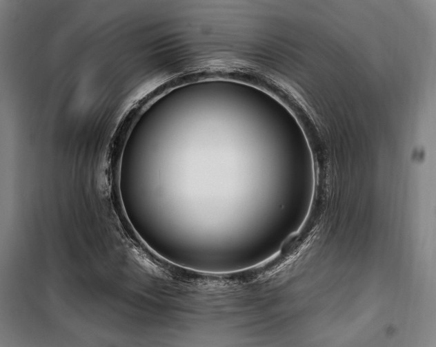 X0000100381018200806061213