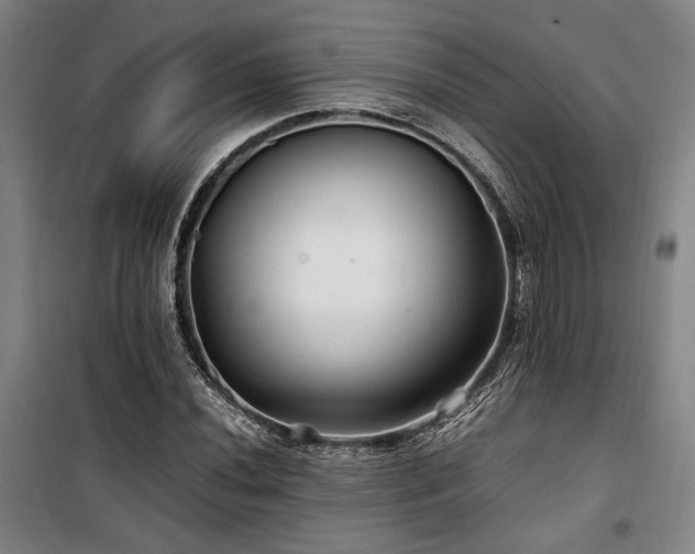 X0000100381020200806061214