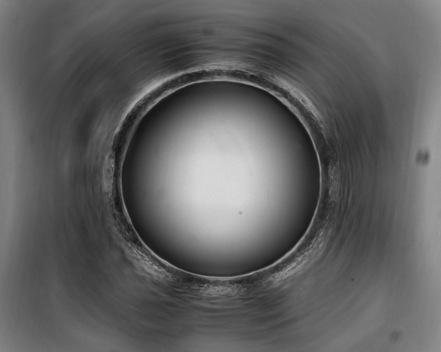 X0000100381021200806061214