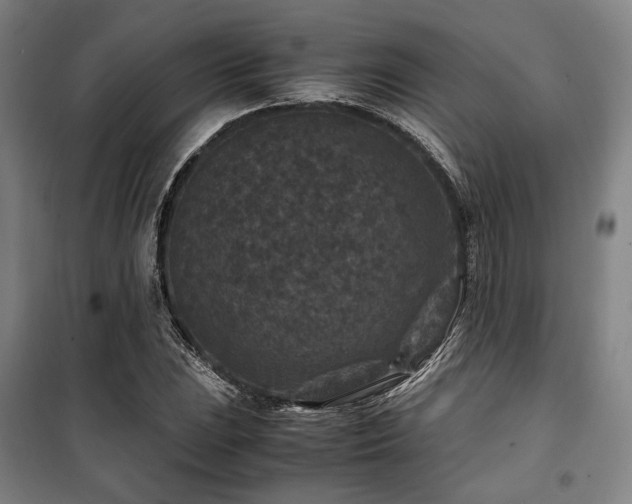 X0000100381023200806061214