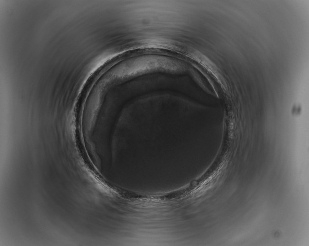 X0000100381024200806061214
