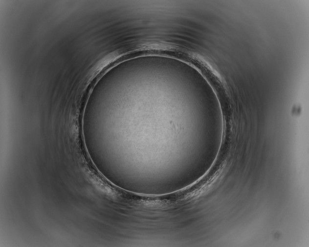 X0000100381025200806061214