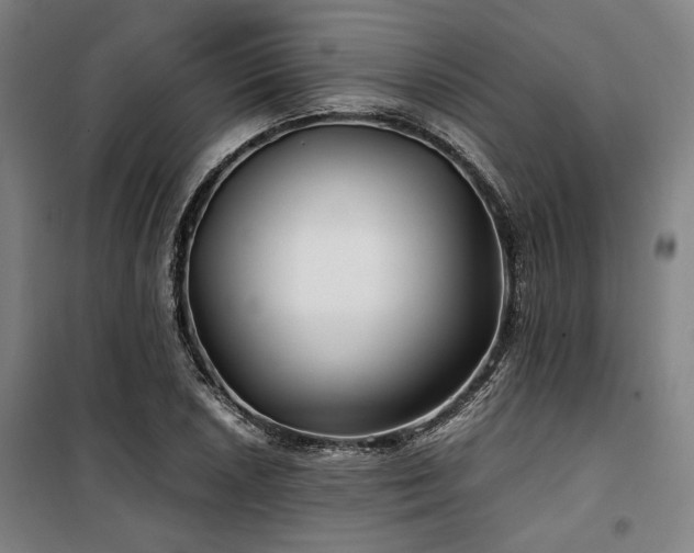 X0000100381026200806061214