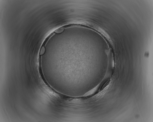X0000100381028200806061214