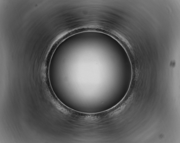 X0000100381029200806061214