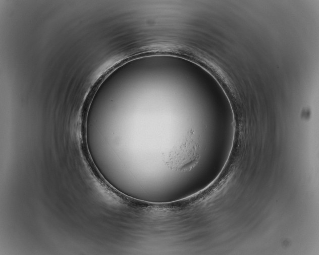 X0000100381034200806061214