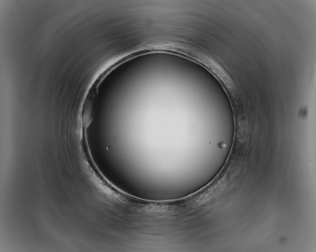 X0000100381036200806061214