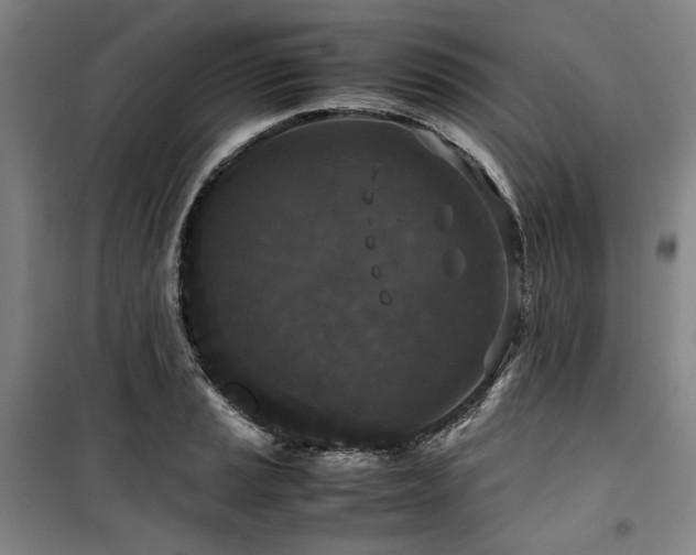 X0000100381037200806061214
