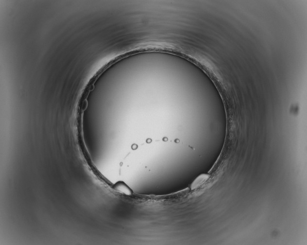 X0000100381038200806061214