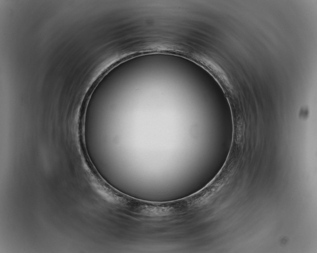 X0000100381039200806061214