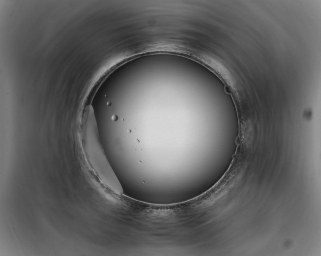 X0000100381043200806061214