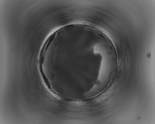 X0000100381045200806061214