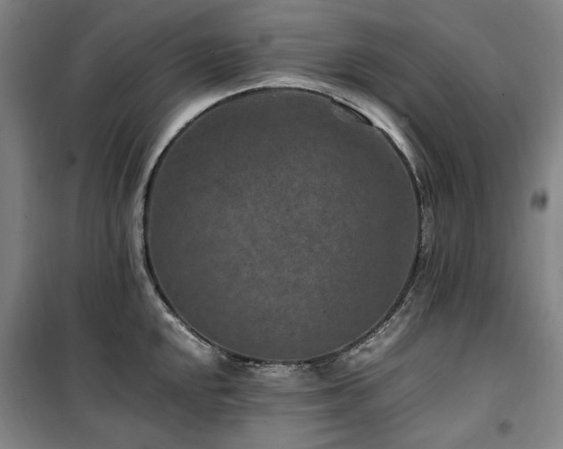 X0000100381048200806061214