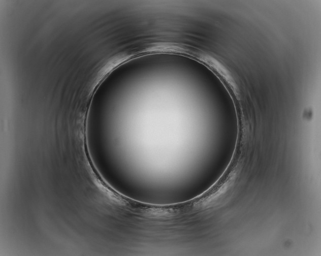 X0000100381049200806061214
