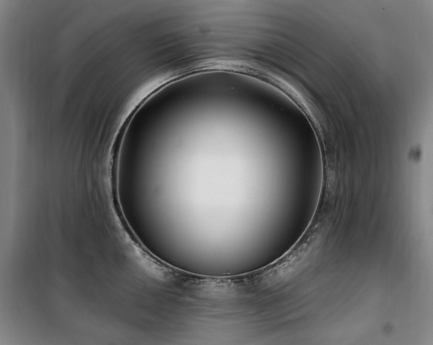X0000100381050200806061214