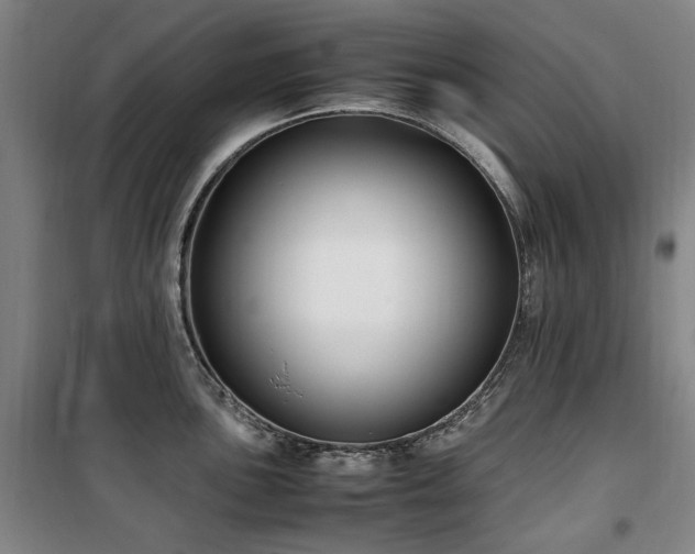 X0000100381051200806061214