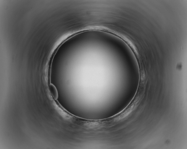 X0000100381054200806061214