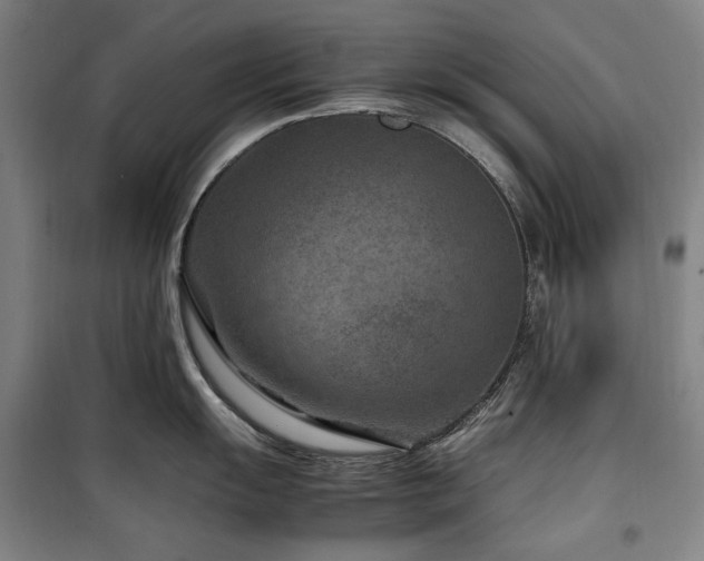 X0000100381055200806061214