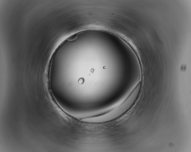 X0000100381056200806061214