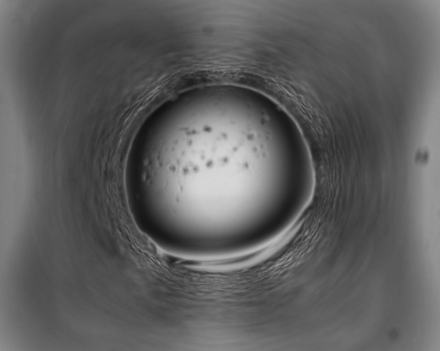 X0000100381057200806061213