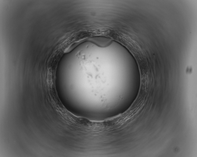 X0000100381058200806061213