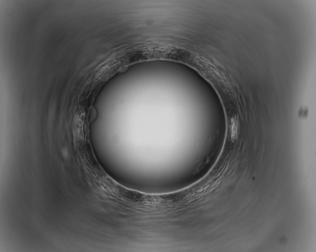 X0000100381059200806061213
