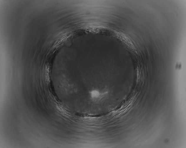 X0000100381060200806061213