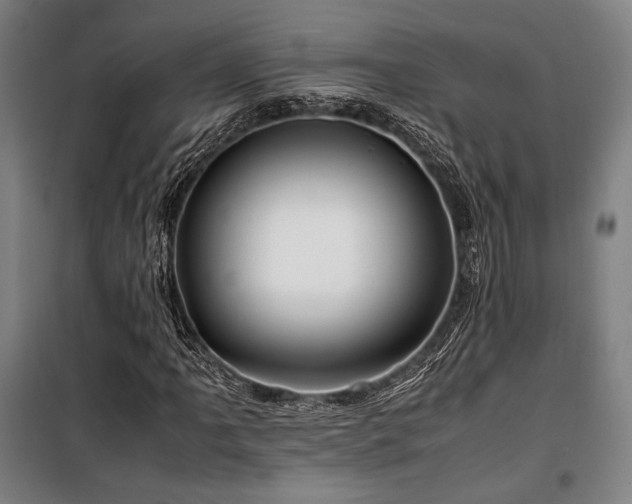 X0000100381061200806061213