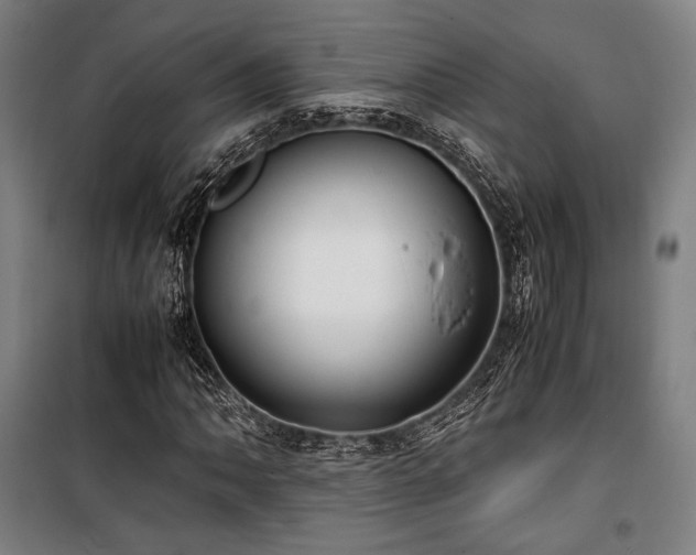 X0000100381062200806061213