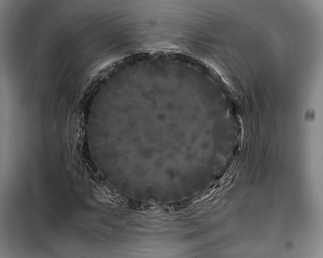 X0000100381063200806061213