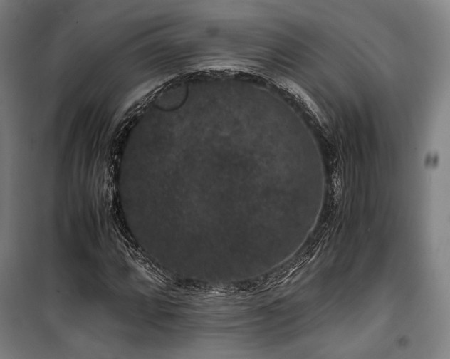 X0000100381064200806061213