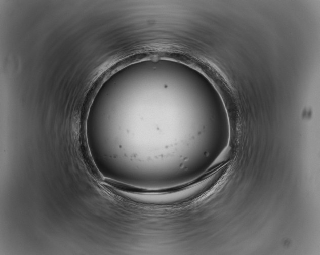 X0000100381065200806061213