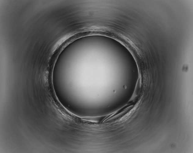X0000100381066200806061213