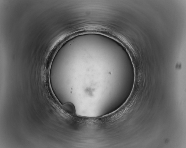 X0000100381067200806061213