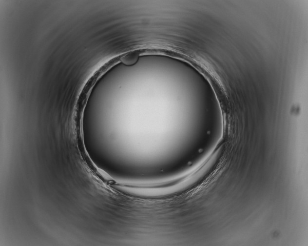 X0000100381068200806061213