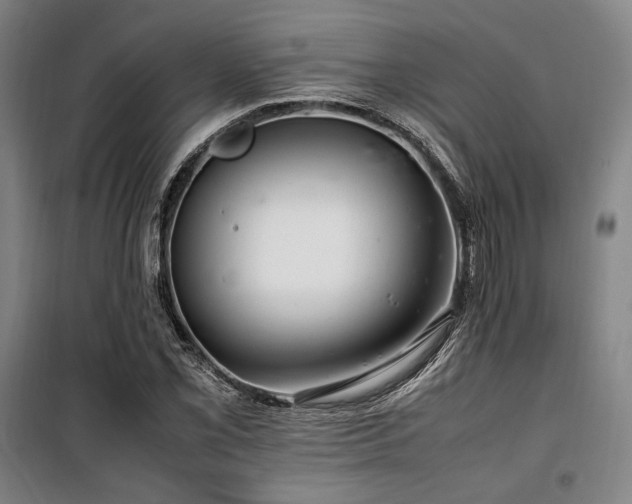 X0000100381069200806061213