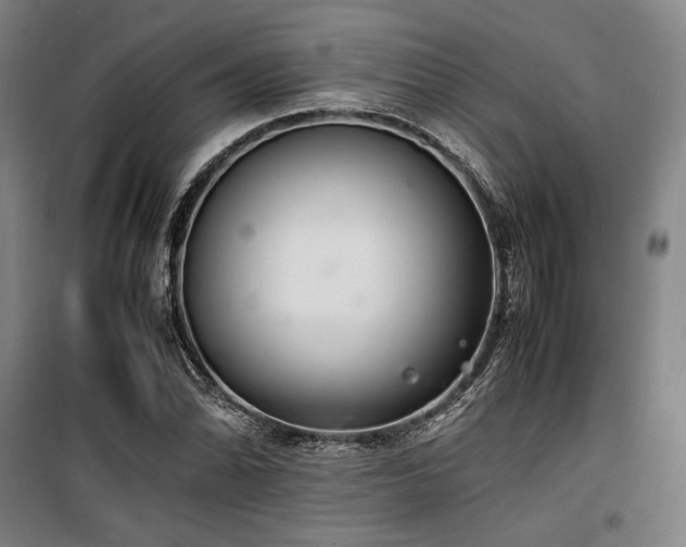X0000100381070200806061213
