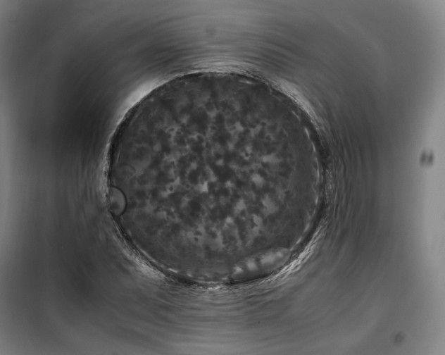 X0000100381071200806061213
