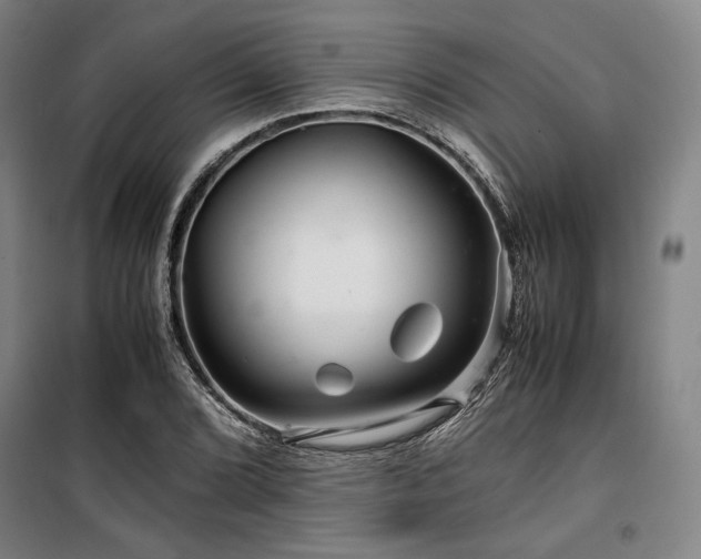 X0000100381072200806061213