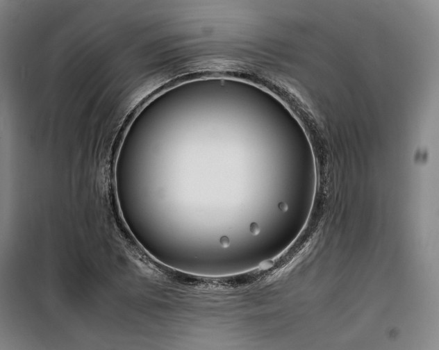 X0000100381073200806061213