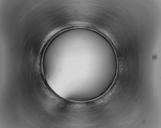 X0000100381074200806061213