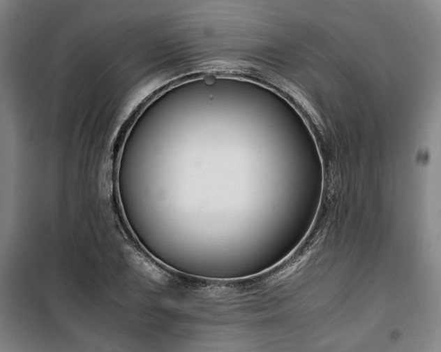 X0000100381075200806061213