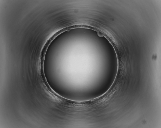 X0000100381076200806061213