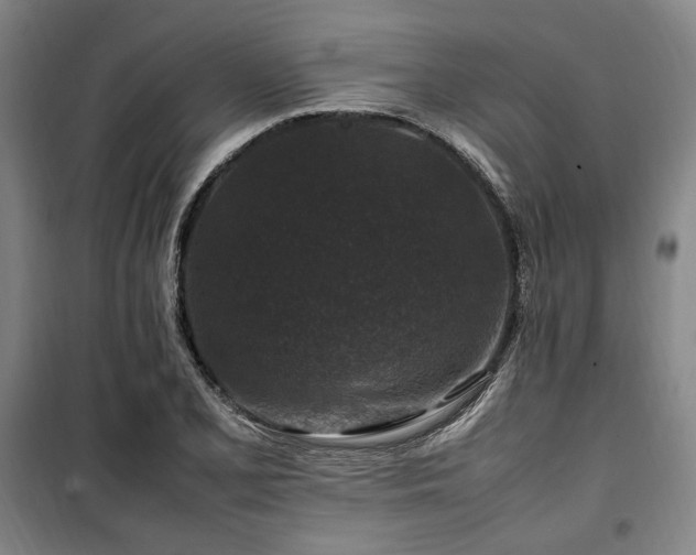 X0000100381077200806061213