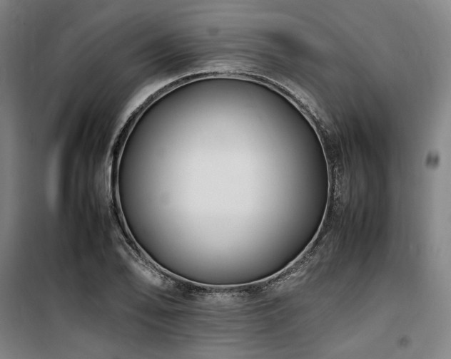 X0000100381078200806061213